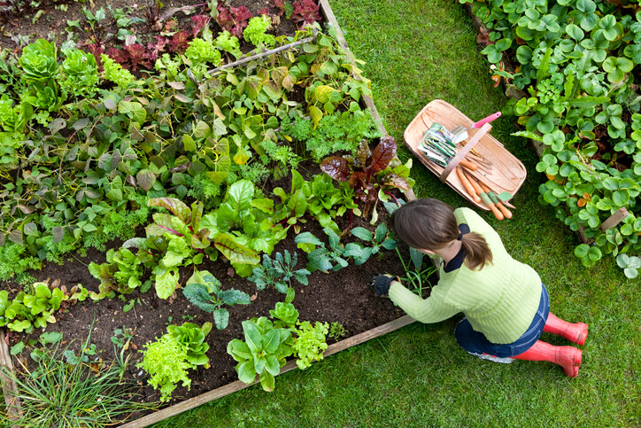 woman gardening