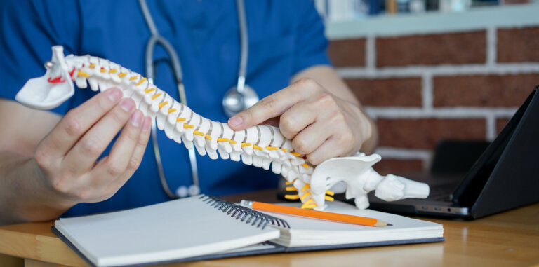 Doctor holding miniature spine model