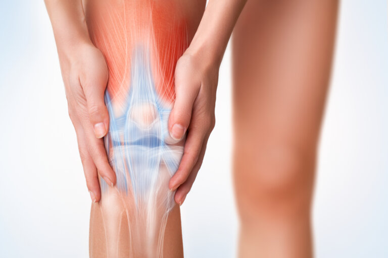 A diagram showing a woman holding her knee with highlighted bones and muscles.